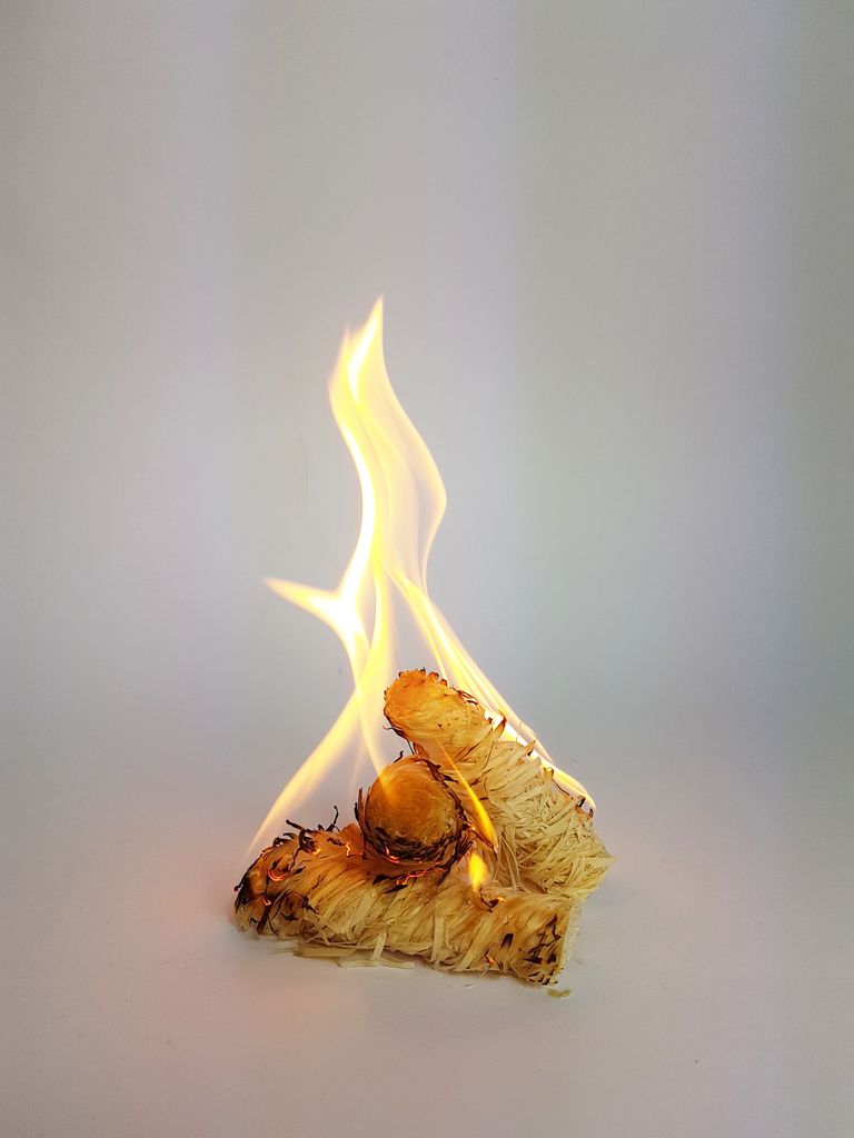 Feniks Ecofirelighter - Umweltfreundlicher Kaminanzünder aus Bienenwachs, 2 kg – Ansicht 5
