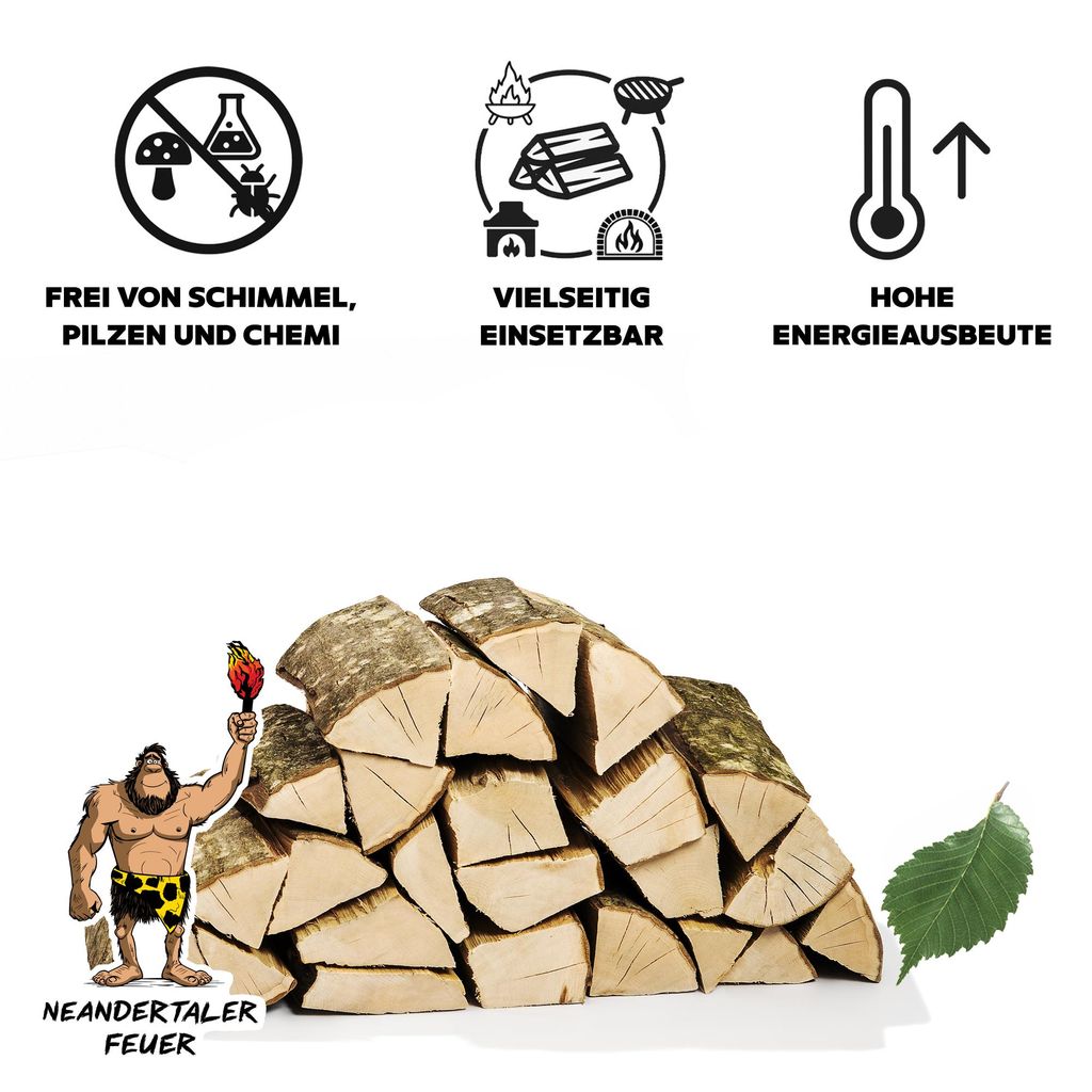Neandertaler Feuer 2 Raummeter Buchenholz für Kamin und Grill - 25 cm Scheitlänge – Ansicht 3