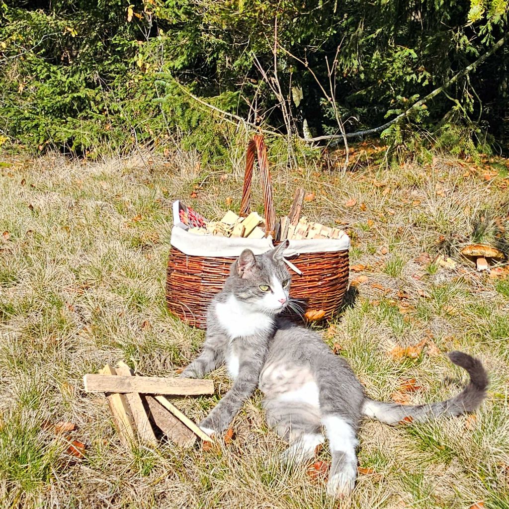 Premium Anzündholz 4kg – Trockenes Anfeuerholz für Kamin und Grill – Ansicht 4