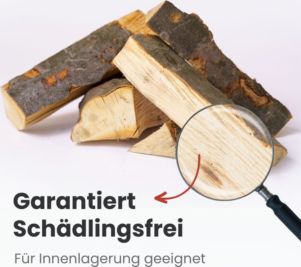 Premium Kaminholz Mix - Buchenholz, 1 RM, 25 cm Scheitlänge, 500 kg – Ansicht 5
